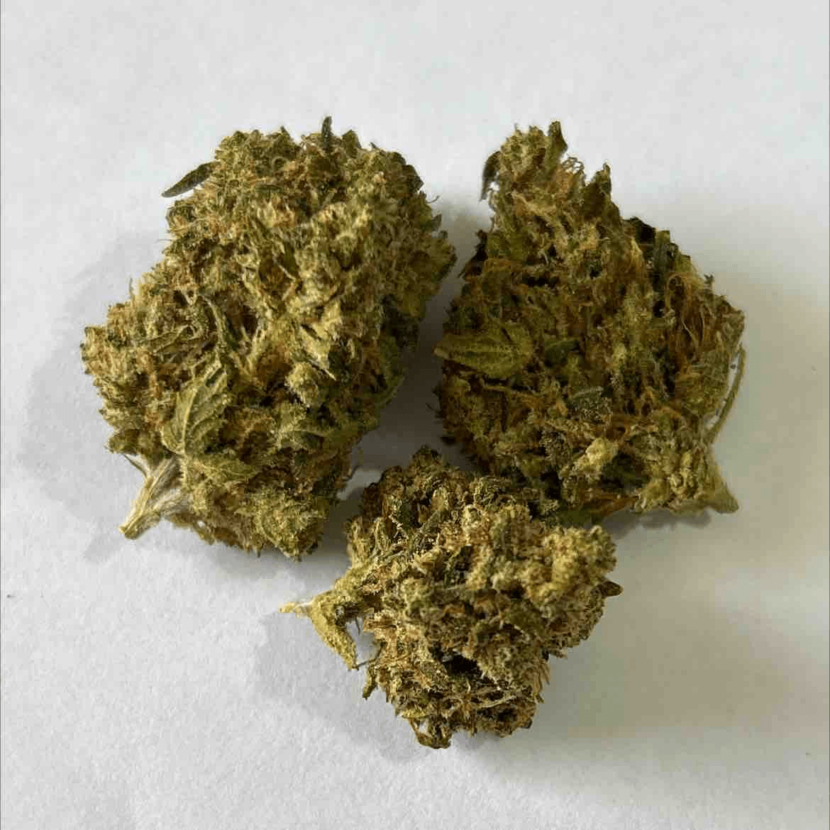 Pedanios 22/1  (Ghost Train Haze)